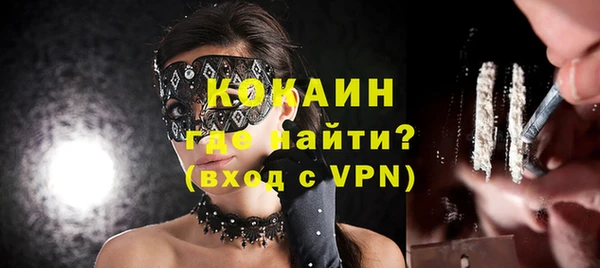 spice Богданович
