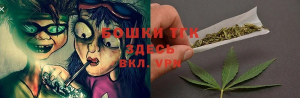 spice Богданович