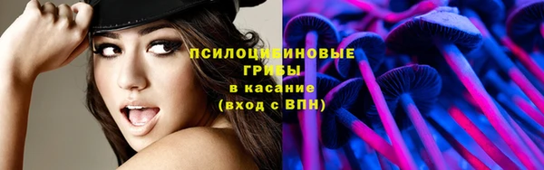 spice Богданович