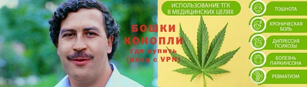 spice Богданович