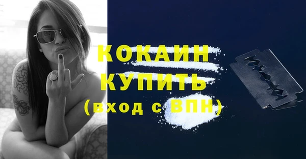 spice Богданович