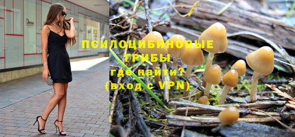 эйфоретик Богородицк