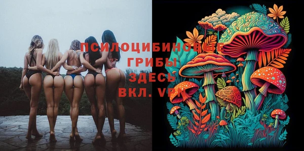 spice Богданович