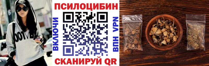 цены наркотик  Ковылкино  Галлюциногенные грибы Cubensis 
